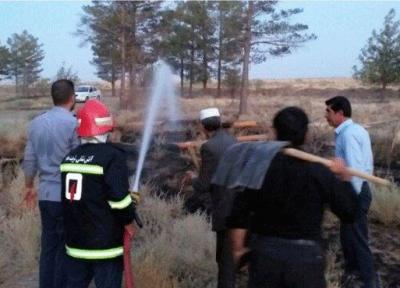 آتش تیر بر پارک جنگلی تربت جام