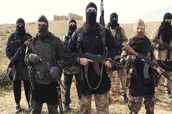 بیعت شاخه داعش در سومالی با جانشین البغدادی بیعت شاخه داعش در سومالی با جانشین البغدادی