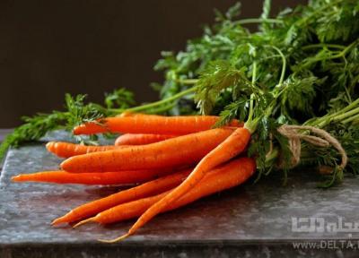 خواص هویج ؛ گیاه کم کالری