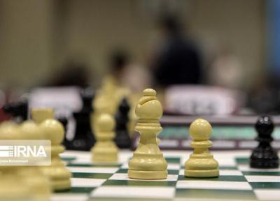 خبرنگاران فیده المپیاد آنلاین شطرنج برگزار می کند