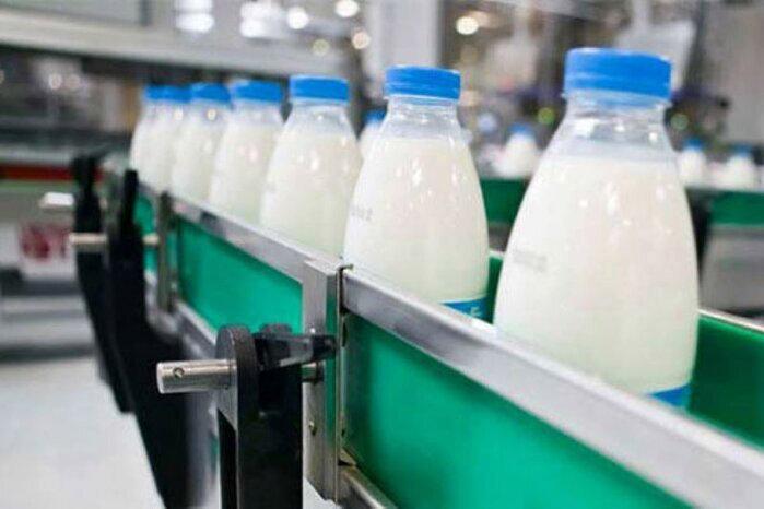 تولید 156 هزار تن شیر در قم