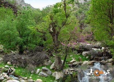 سالن؛کوهی زیبا و مرتفع در دزفول ، تصاویر