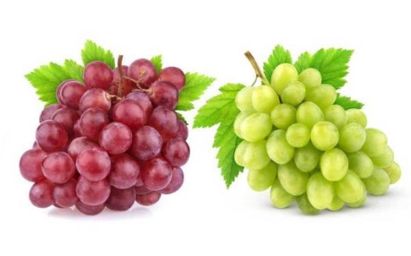 خواص میوه انگور برای سلامتی