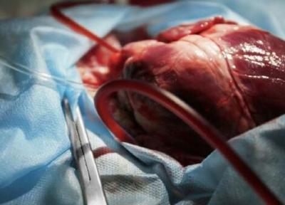 بیمارستان امام رضا(ع) مشهد، دارنده رتبه سوم پیوند قلب در کشور