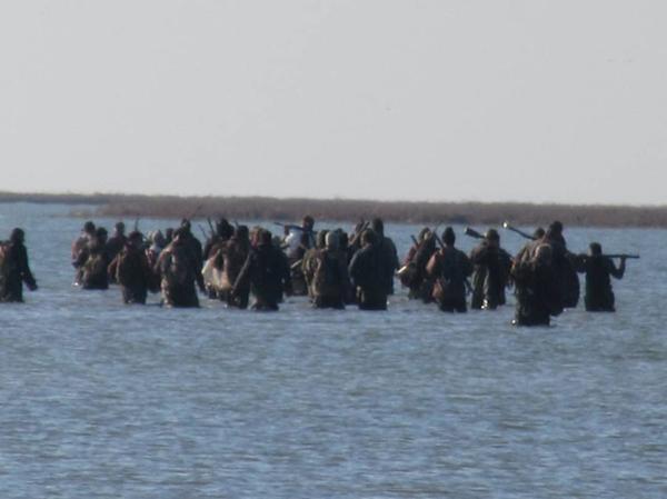 جزئیات حمله عجیب 150 شکارچی غیرمجاز نقابدار به پرندگان میانکاله