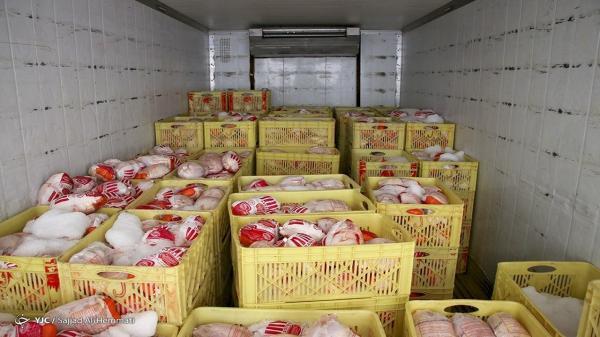 پتانسیل صادرات یک میلیون تن مرغ در کشور وجود دارد