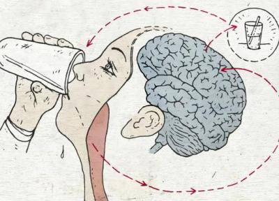 چرا حس تشنگی همواره راهنمای دقیقی برای یادآوری زمان مصرف آب نیست؟